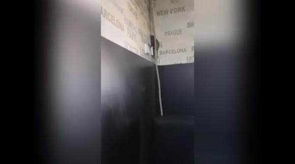 sobolan in cofetarie fiul patronului pus sef la protectia consumatorului gorj