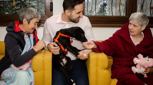 tudor ionescu propune infiintarea unui registru cu persoanele care comit violente impotriva animalelor