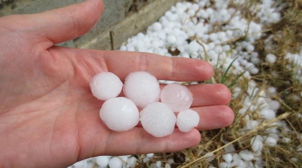 grindina uriasa in australia