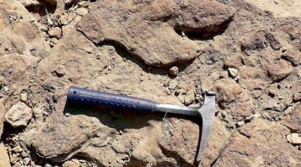 mormintele a 50 de sclavi descoperite de arheologi in anglia