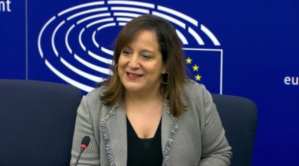 sefa grupului s d din pe critica guvernul orban