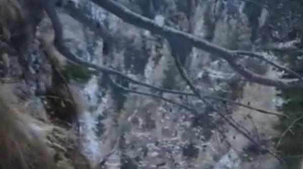 barbatul disparut in bucegi a fost gasit decedat intr o vale abrupta din sinaia