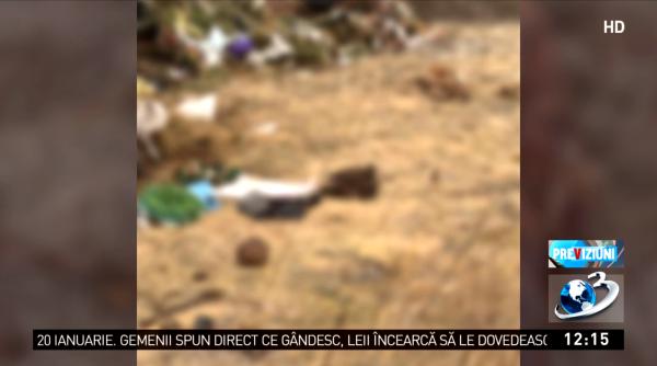 cadavre umane descoperite pe un camp