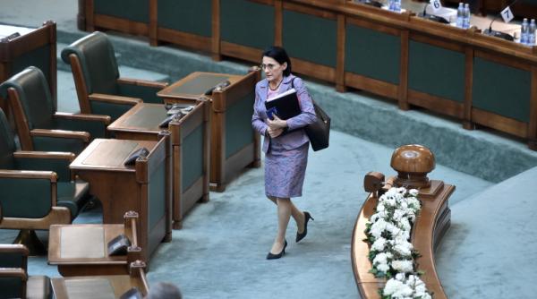 ecaterina andronescu propunere de parteneriat intre presa si stat pe modelul politehnica google