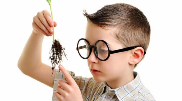 are 3 ani cel mai tanar membru al organizatiei mensa