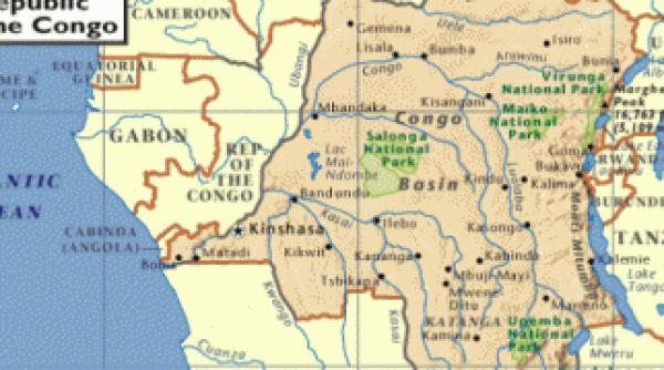 descoperire in congo ciuperca de aproximativ 810 milioane de ani foto