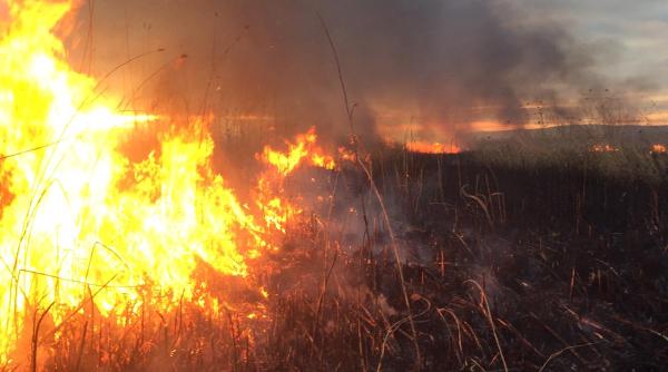 incendiu de vegetatie la isaccea tulcea risc de extindere la padurea din apropiere