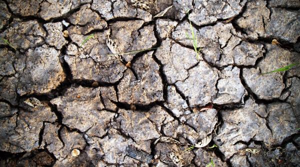 vremea buna un dezastru seceta in romania elena mateescu anm ce s a intamplat in ianuarie 1989 nou record negativ