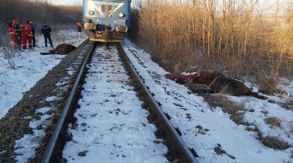 trafic feroviar blocat in brasov dupa ce un tren a lovit mai multi cai