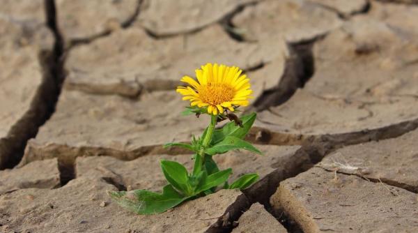 romania legaturi cu un centru important din cauza secetei mateescu anm noi informatii dupa vremea frumoasa video