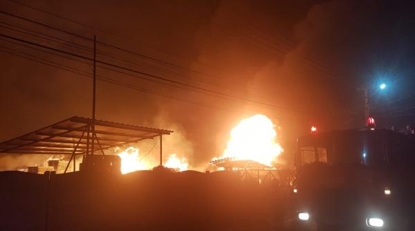 130 de animale salvate dintr un incendiu in bistrita