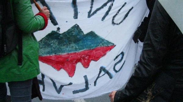 declic o noua solicitare catre guvernul orban