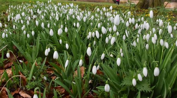 prognoza meteo bucuresti vremea in capitala temperaturi record