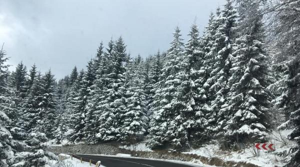 anm prognoza meteo vremea 3 10 februarie 2020 anunt important episoade de vreme extrema