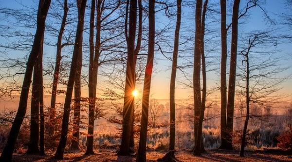 anm prognoza meteo vremea in weekend 1 2 februarie 2020