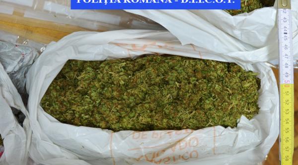 10 kg de cannabis gasite in rezervorul unei masini la iasi