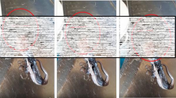 o romanca a cumparat peste de la supermarket a avut socul vietii cand a ajuns acasa