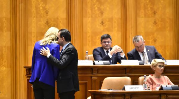 alina gorghiu dupa caderea guvernului propunerea pnl ramane ludovic orban