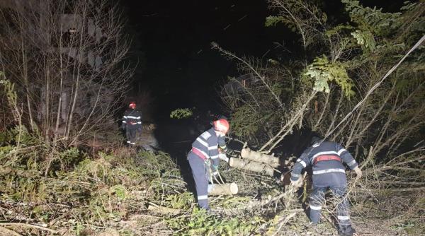 copaci rupti cazuti pe sosea in prahova avertizare ro alert