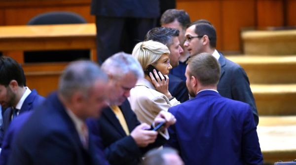 ironia lui florin roman catre psd loveste in raluca turcan