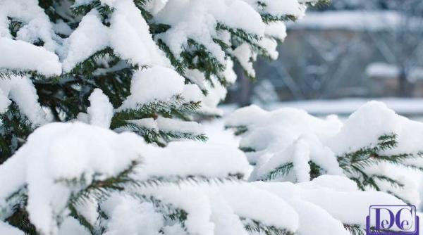 anm prognoza meteo bucuresti vremea in capitala 6 februarie 2020