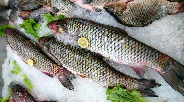 cum iti dai seama daca pestele este proaspat la ce sa te uiti cand il cumperi sa nu fii pacalit