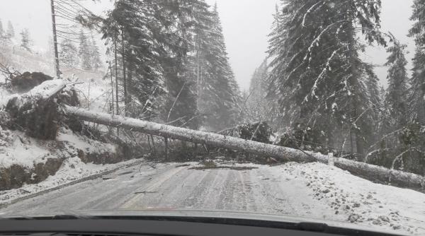 infotrafic 6 februarie 2020 drumurile inchise lista completa