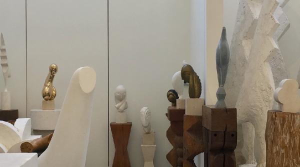 eveniment romanesc la bruxelles record cu brancusi 116 000 de vizitatori