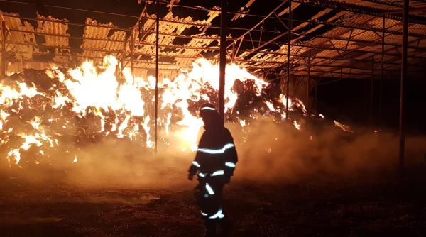 incendiu violent la o ferma din judetul tulcea pompierii nu au mai putut face nimic