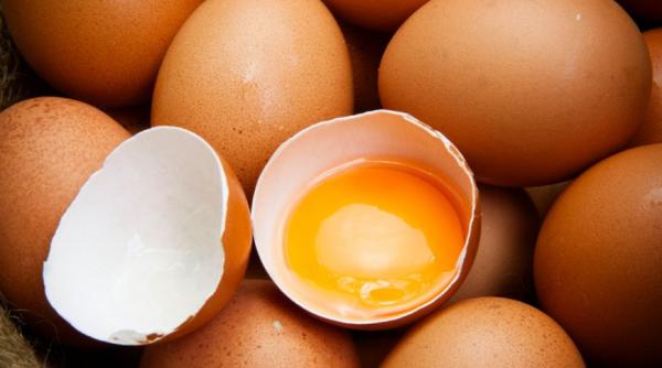 oua vegane ce contin