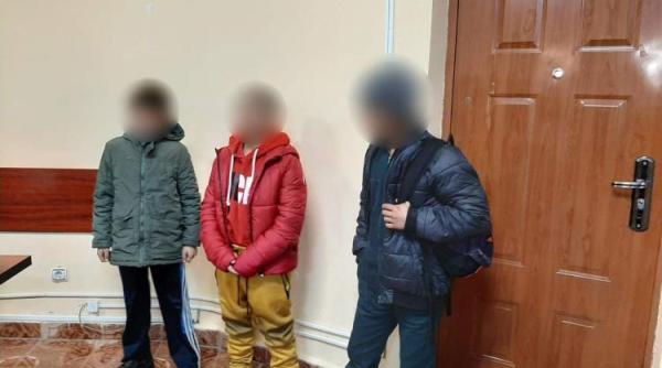 talharii minori fac ravagii in braila