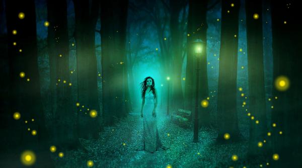 licuricii pe cale de disparitie din cauza distrugerii habitatului