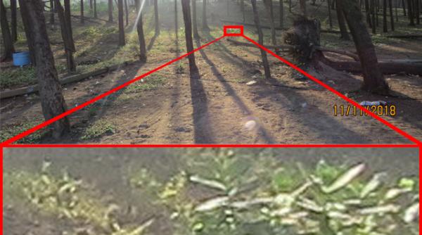 cum reuseste samsung galaxy s20 ultra un zoom x100