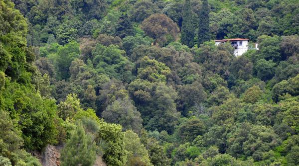 cinci sfaturi pentru soti de la muntele athos te ajuta sa ajungi la 50 ani de casatorie