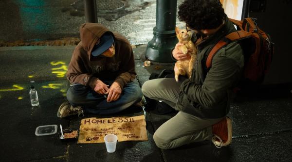 compasiunea secretul fericirii cum o poti experimenta