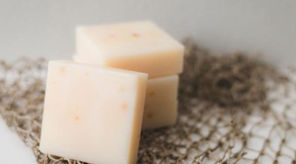 reteta simpla fara foc cu doar 5 ingrediente succes total