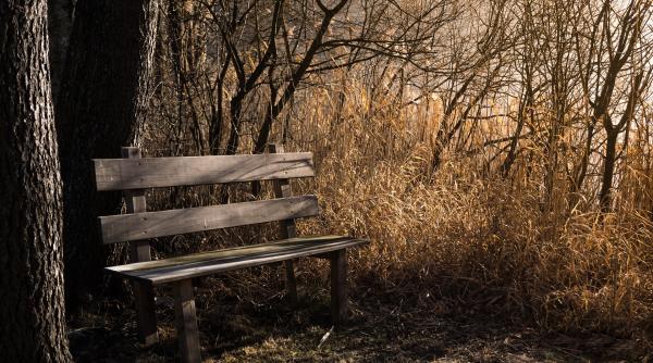 geanta cu bijuterii si 7 500 de euro uitata pe o banca din orasul bacau