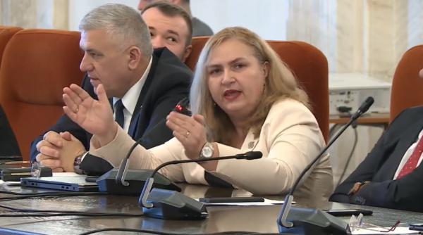 scandal la audierea lui virgil popescu harau nistor domnul nistor este un tractorist doamna senator psd isto pnl ista