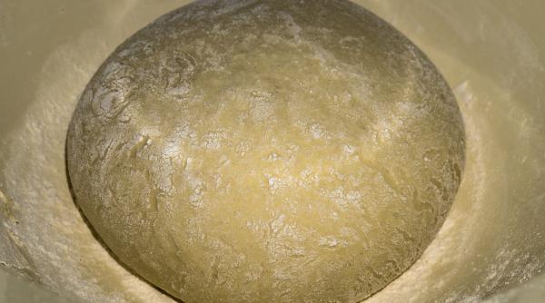 drojdia cruda sau drojdia uscata care este mai buna diferente