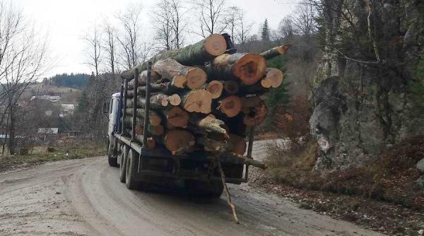 usr cere modificarea definitiei materialelor lemnoase