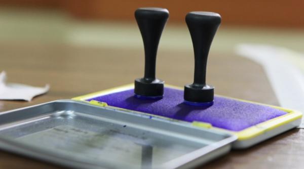 psd timis a anuntat candidatul pentru presedintia consiliului judetean