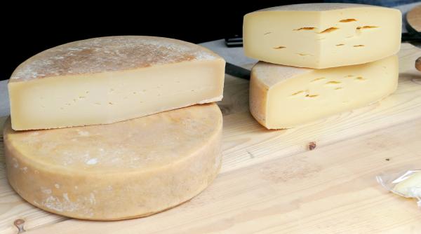 branza de soia versus branza din lactate care e mai sanatoasa