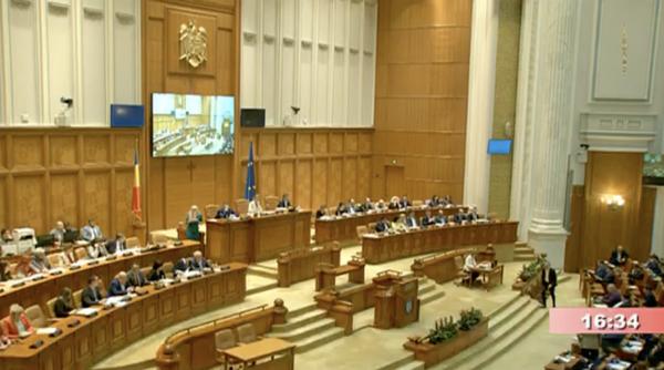 conducerea camerei deputatilor 14 deputati vor constituirea grupului mixt al liberalilor si democratilor