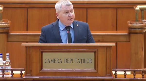 florin roman acuzatie socanta decizia ccr scrisa in sediul psd