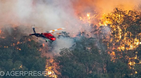 padurile din australia distruse in proportie de 20prc in urma incendiilor violente