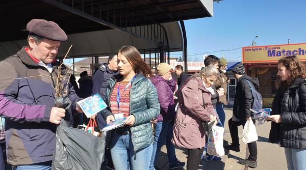 coronavirus primaria sectorului 4 campanie de informare