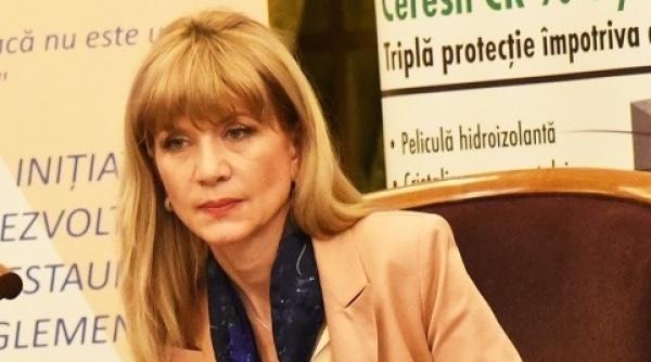 mariana ionita este noul director general al cnair