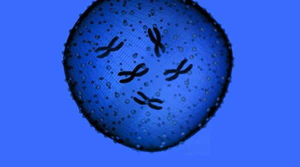 numarul persoanelor infectate cu coronavirus a ajuns la noua in spania