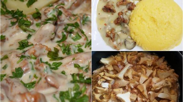 ciulama de galbiori cu mamaliguta deliciul din farfuria romanilor