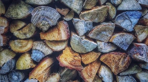 secretar din primarie batut mar chiar de ziua lui de vecinul care taia lemne cu drujba in apartament